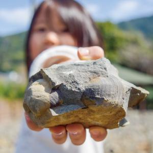 化石