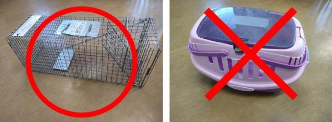 捕獲器