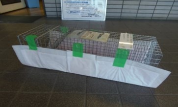 シーツ