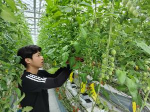 野菜農家6