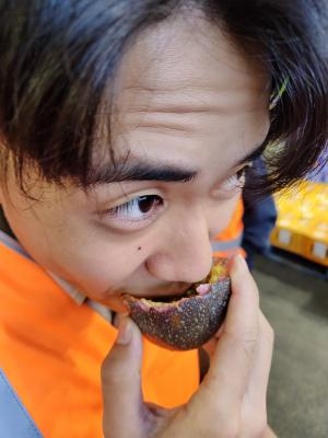 市場で試食