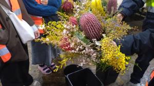 オーストラリアの花
