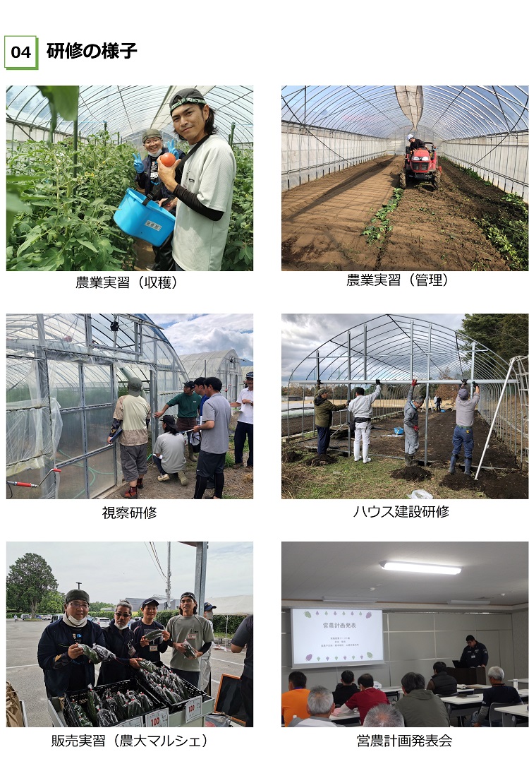 農業実習（収穫・管理）、視察研修、ハウス建設研修、販売実習、営農計画発表会