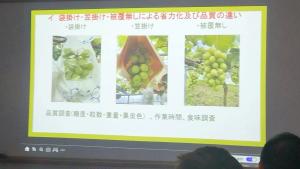 発表の様子4