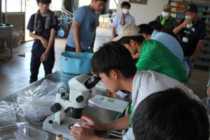 野菜学科 天敵発見