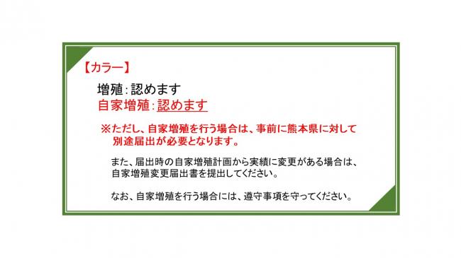 カラー許諾方針