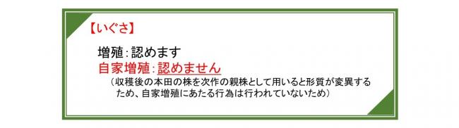 いぐさ許諾方針