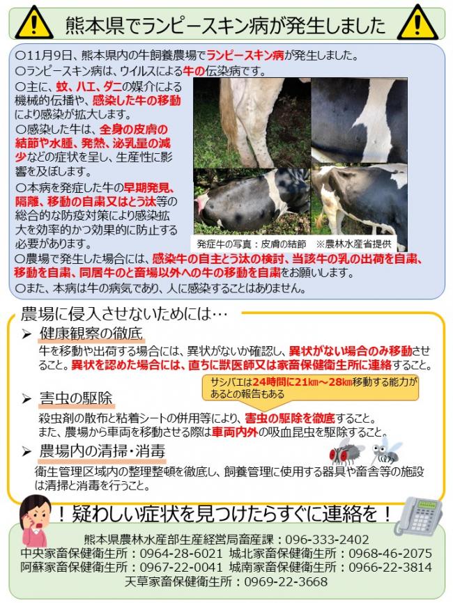 熊本県でランピースキン病が発生しました(1)